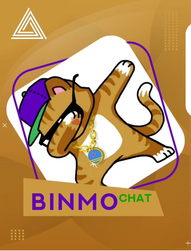 Binmo chat